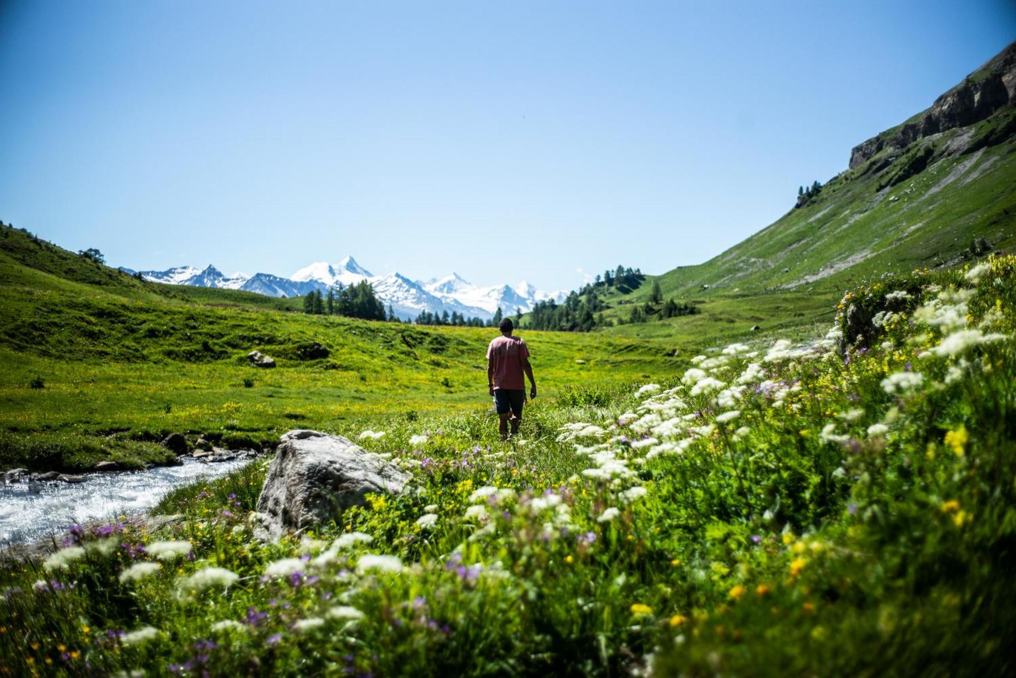 Crans Montana Suites Dış mekan fotoğraf